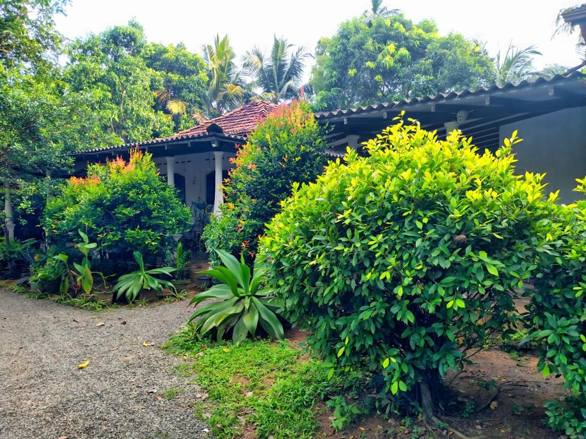 Dickwella Green Villa Luaran gambar